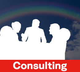 Consulting